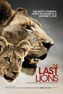 دانلود مستند The Last Lions 2011195626-503146484
