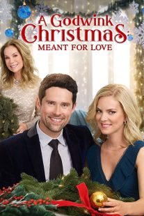 دانلود فیلم A Godwink Christmas: Meant for Love 201931842-2109658404