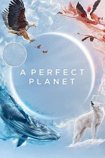 دانلود مستند A Perfect Planet231098-1379539346