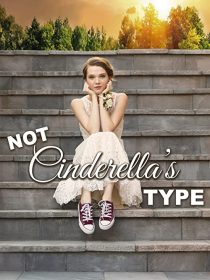 دانلود فیلم Not Cinderella’s Type 2018254350-114755512