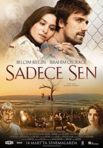 دانلود فیلم Only You 2014369345-1075290812