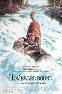 دانلود فیلم Homeward Bound: The Incredible Journey 1993371118-734564058