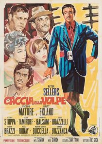دانلود فیلم After the Fox 1966376229-1107615149