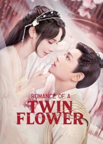 دانلود سریال Romance of a Twin Flower379211-904458899