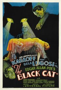 دانلود فیلم The Black Cat 1934378235-251488561