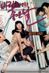 دانلود فیلم کره‌ای A Good Day to Have an Affair 2007384531-1937742892