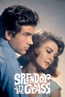 دانلود فیلم Splendor in the Grass 1961382554-1261725704