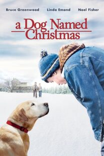 دانلود فیلم A Dog Named Christmas 2009389298-105323614