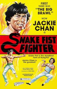 دانلود فیلم Snake Fist Fighter 1973388650-1817137617