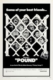 دانلود فیلم Pound 1970392026-729421768