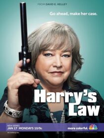 دانلود سریال Harry’s Law393952-1936939225