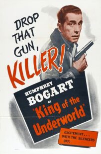 دانلود فیلم King of the Underworld 1939399475-1978101013