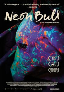 دانلود فیلم Neon Bull 2015396774-1957472349