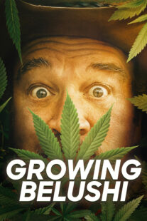 دانلود سریال Growing Belushi400424-1102799366