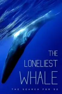 دانلود فیلم The Loneliest Whale: The Search for 52 2021403098-926508713
