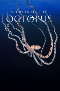 دانلود سریال Secrets of the Octopus401286-826853973