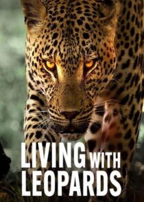دانلود مستند Living with Leopards 2024400477-614892335