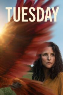 دانلود فیلم Tuesday 2023405840-1449877654