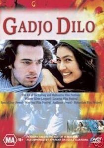 دانلود فیلم The Crazy Stranger 1997407241-240782962