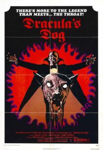 دانلود فیلم Dracula’s Dog 1977407625-1418642366