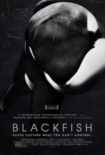 دانلود فیلم Blackfish 2013412328-1604459028