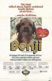 دانلود فیلم Benji 1974412236-1571499769