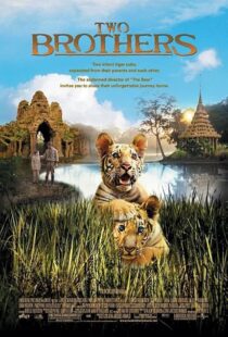 دانلود فیلم Two Brothers 2004415854-1284849393