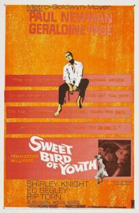دانلود فیلم Sweet Bird of Youth 1962415738-1977486316