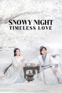 دانلود سریال Snowy Night Timeless Love417168-2013773739