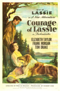 دانلود فیلم Courage of Lassie 1946417427-1534161195