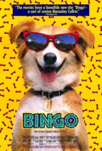 دانلود فیلم Bingo 1991417459-801002141