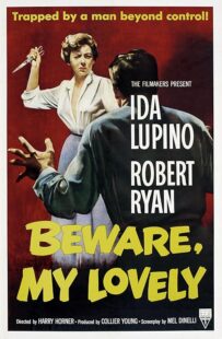 دانلود فیلم Beware, My Lovely 1952420627-1519440234