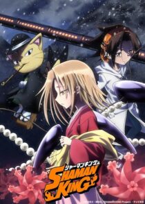 دانلود انیمه Shaman King422246-152866938