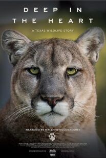 دانلود مستند Deep in the Heart: A Texas Wildlife Story 2022421545-1347785190