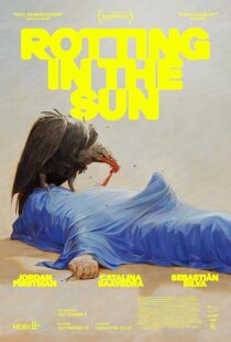 دانلود فیلم Rotting in the Sun 2023418816-463290831