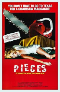 دانلود فیلم Pieces 1982422164-238840525