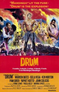 دانلود فیلم Drum 1976423508-913233752