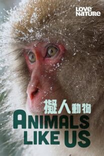 دانلود مستند Animals Like Us423066-1598899567