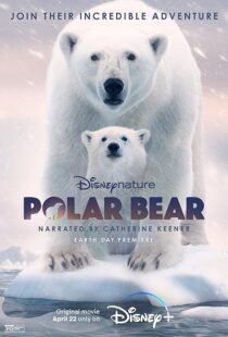 دانلود مستند Polar Bear 2022422974-742090839