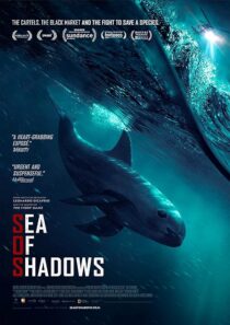 دانلود فیلم Sea of Shadows 2019427147-989179184
