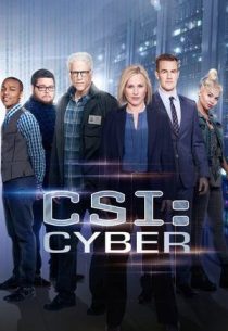 دانلود سریال CSI: Cyber428329-2094244775