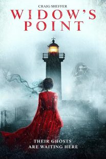 دانلود فیلم Widow’s Point 2019428433-690528023