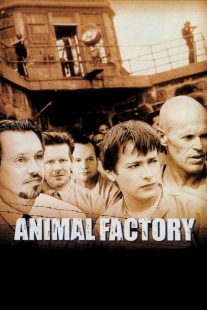 دانلود فیلم Animal Factory 2000430534-1281177356
