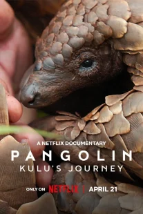دانلود مستند Pangolin: Kulu’s Journey 2025430703-1876235382