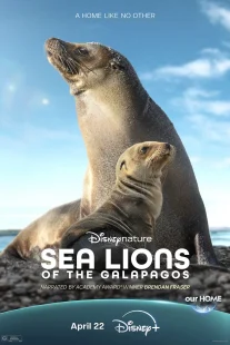 دانلود مستند Sea Lions of the Galapagos 2025431056-1481458048